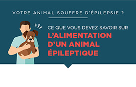 Infographie : L’alimentation d’un animal épileptique