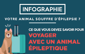 Infographie : Voyager avec un animal épileptique